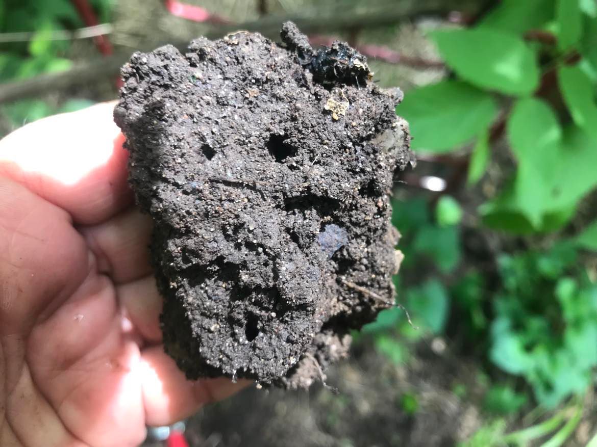 Chunk of rich, black soil being held up in a hand