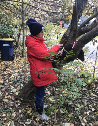 Miriam Murphy wears a bright red winter coat and warm black hat as she uses a tape measure to determine the circumference of a tree during the tree inventory.