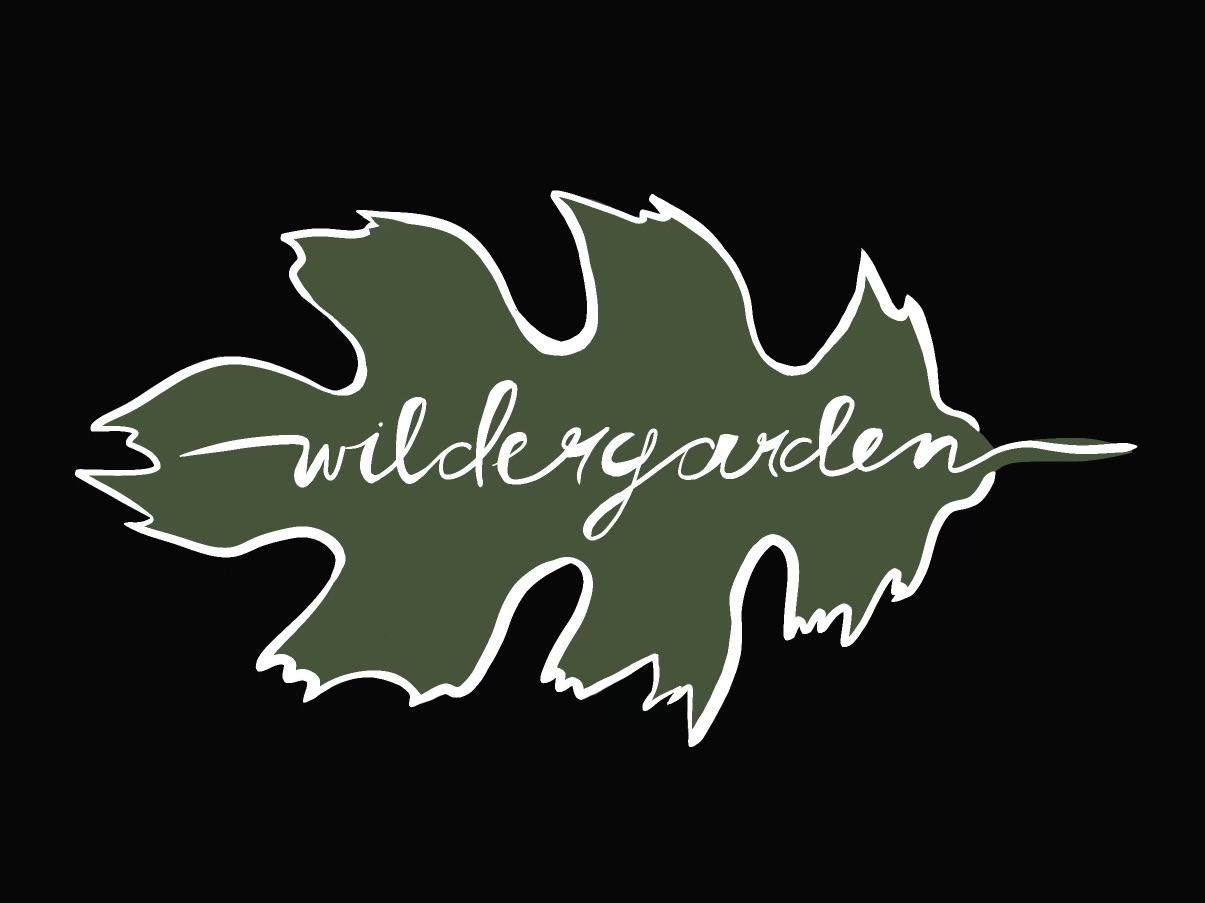 Wildergarden logo that is oak leaf with a white outline with wildergarden written in white, against a black background.