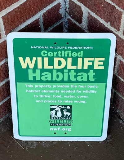 A bright green National Wildlife Federation Certified Wildlife Habitat Sign leans against brick wall. This property provides the four basic habitat elements needed for wildlife to thrive: food, water, cover, and places to raise young. nwf.org