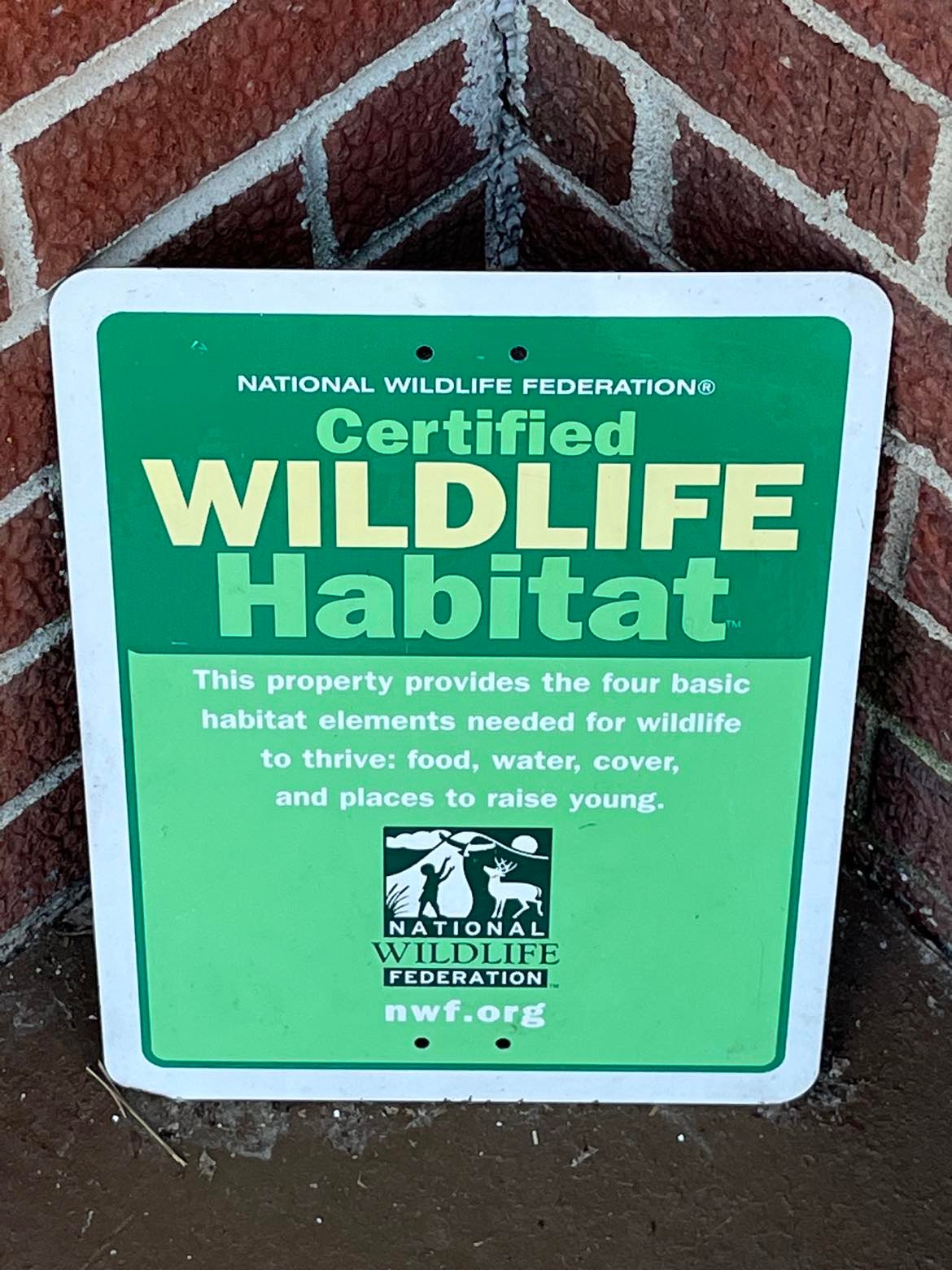 A bright green National Wildlife Federation Certified Wildlife Habitat Sign leans against brick wall. This property provides the four basic habitat elements needed for wildlife to thrive: food, water, cover, and places to raise young. nwf.org