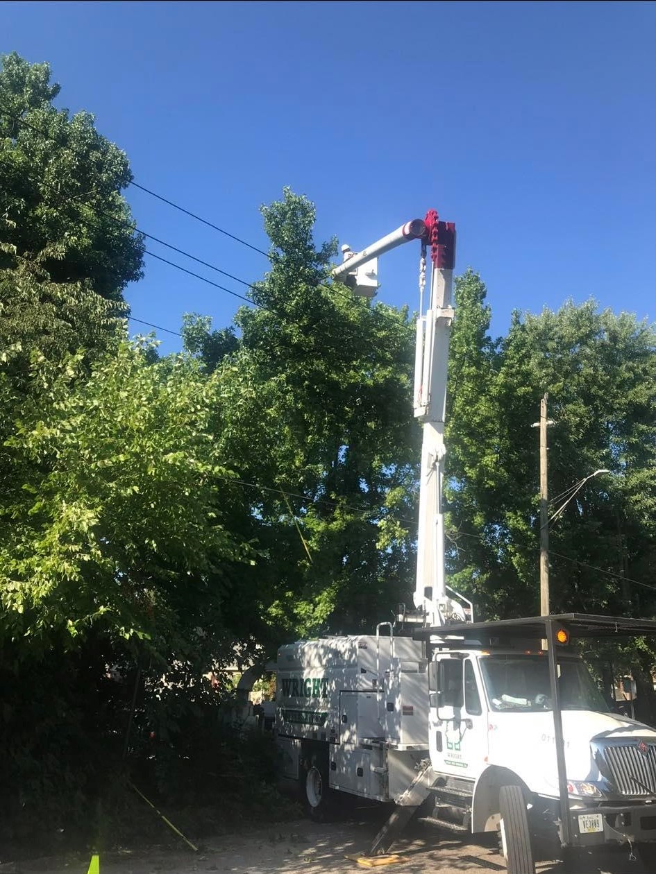 A large, white utility truck with a tall aerial extended so that a worker in a white hardhat can trim tree limbs away from utility lines.