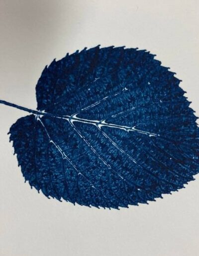 An indigo print from a basswood leaf against a white background