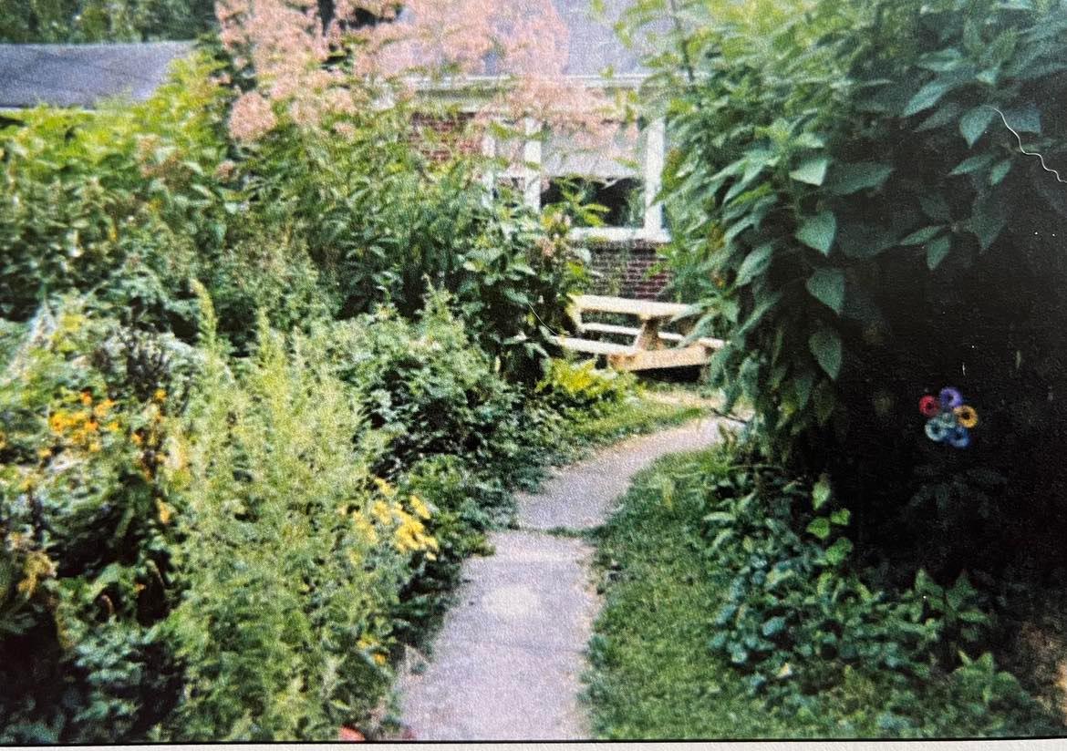 A concrete path leads to the Wildergarden house with plants from the prairie stage to the left and right of the path.