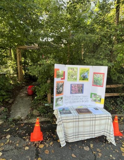 A small card table with a tan plaid tablecloth sits at the curb on the edge of Wildergarden property. A small path leads back into the property, which is filled with vibrant green trees, shrubs, and plants. There are two orange buckets along the path. The table is in the street slightly, so there are two orange safety cones on either side. On the table is a poster that says Wildlife Habitat, a brown photo album, and an informational page. Standing up on the table is a tri-fold poster board with photos taken of plants and animals at Wildergarden. The mission statement is listed as To empower homeowners to provide more ecologically sound land in their yards.